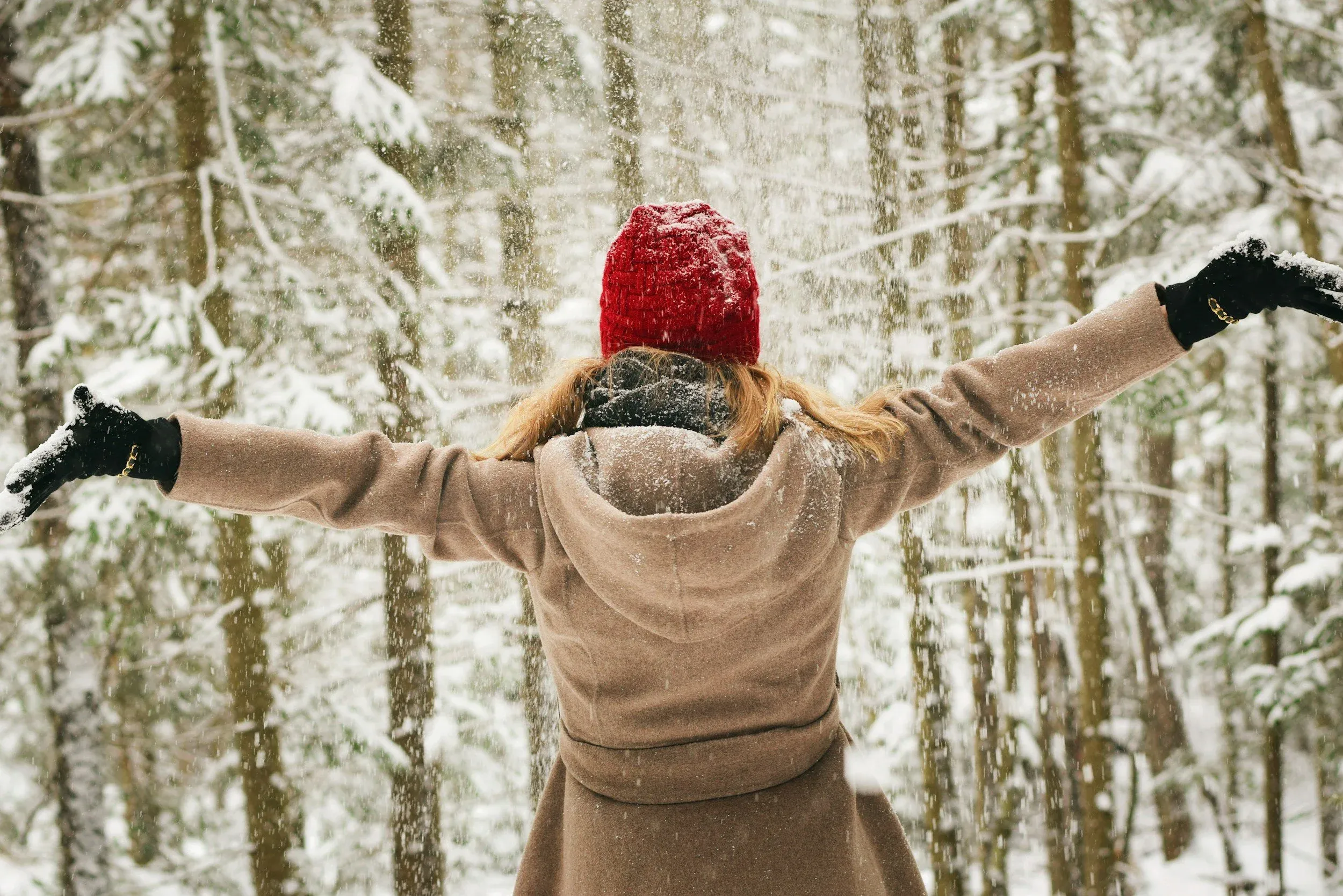 Snowy winter landscape representing winter wellness