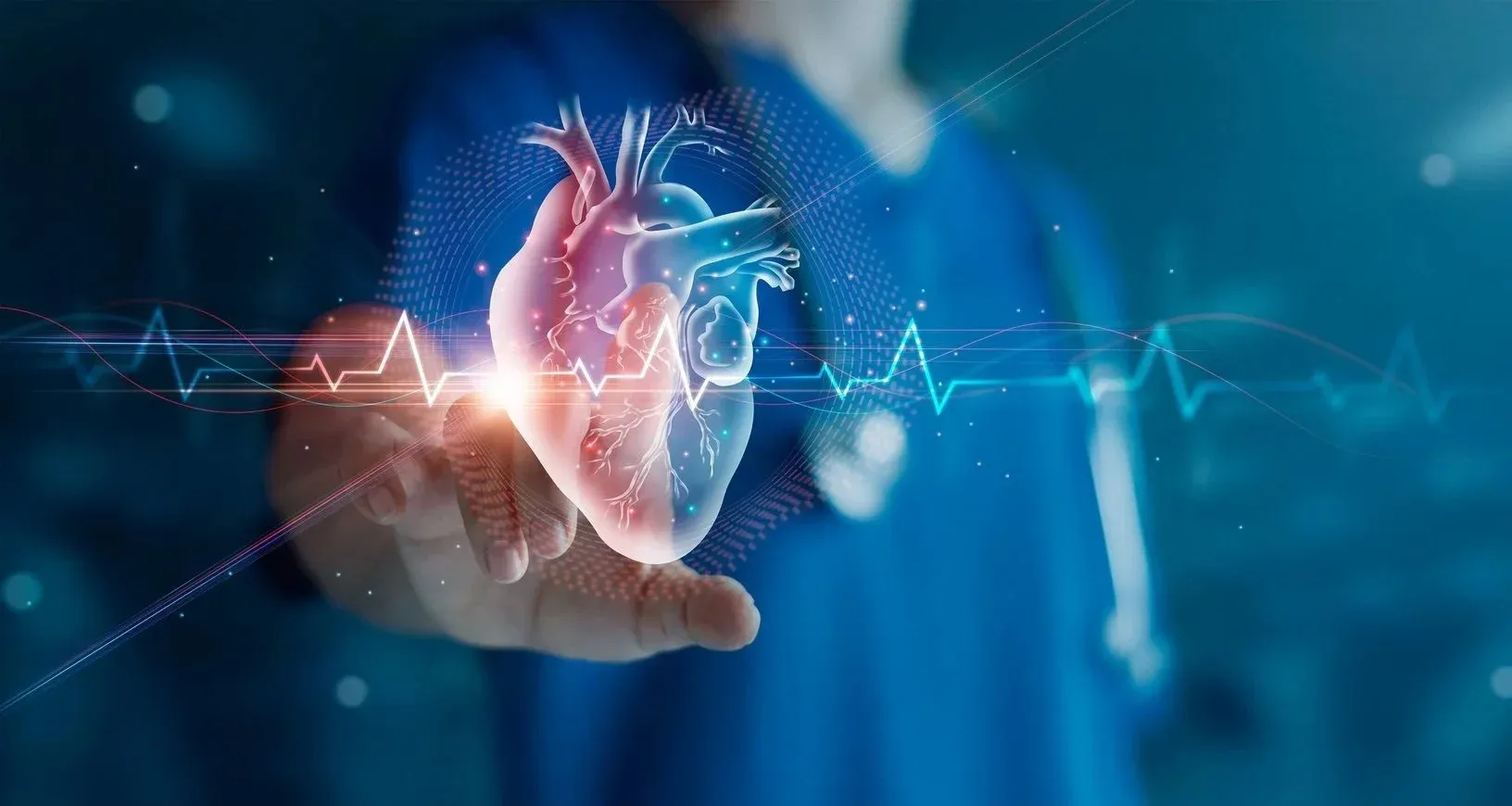 Cardiovascular health assessment imagery